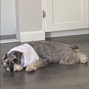 Meet your Posher, Nathan